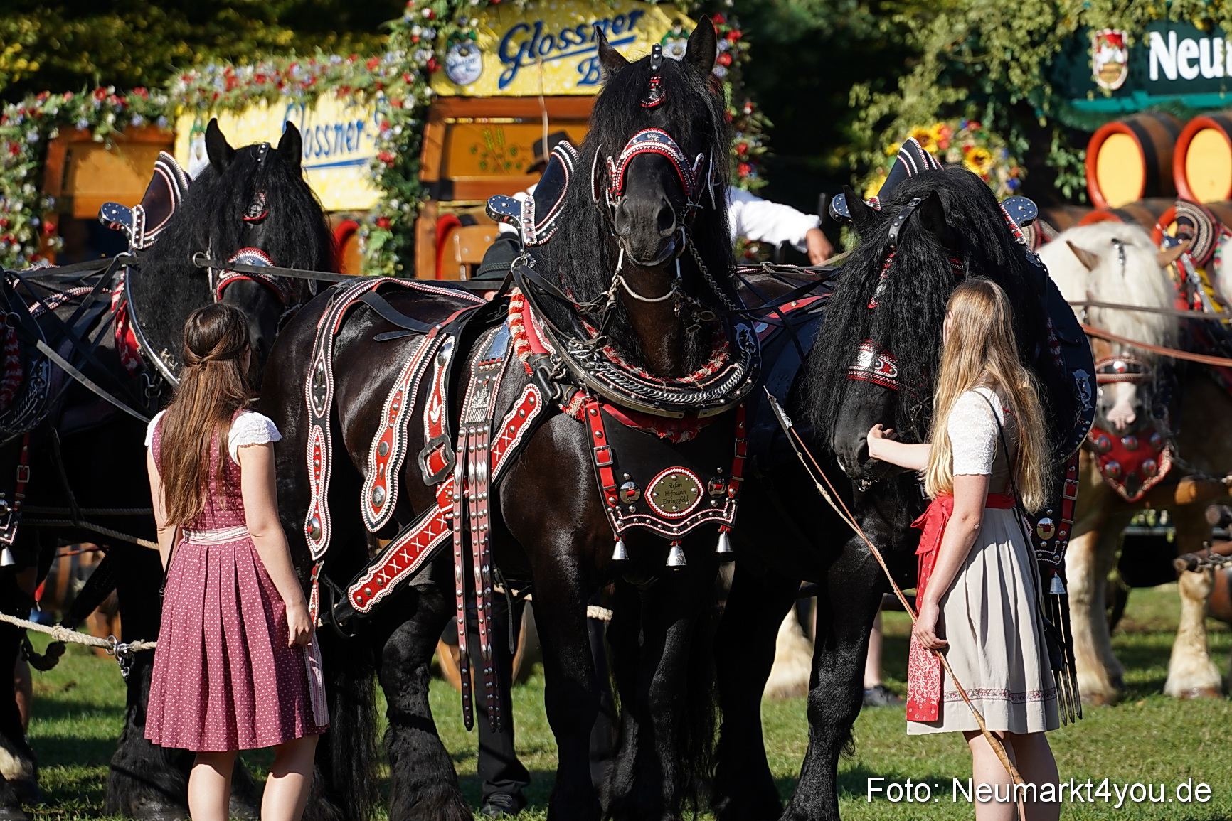 Pferde und Fohlenschau 2022 0038 